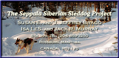 Seppala Kennels and the SSSD Project-
Mr & Mrs J. Jeffrey Bragg and Mr & Mrs Jack R. Murray-
Box 396-
Rossburn, MB-
Canada R0J 1V0